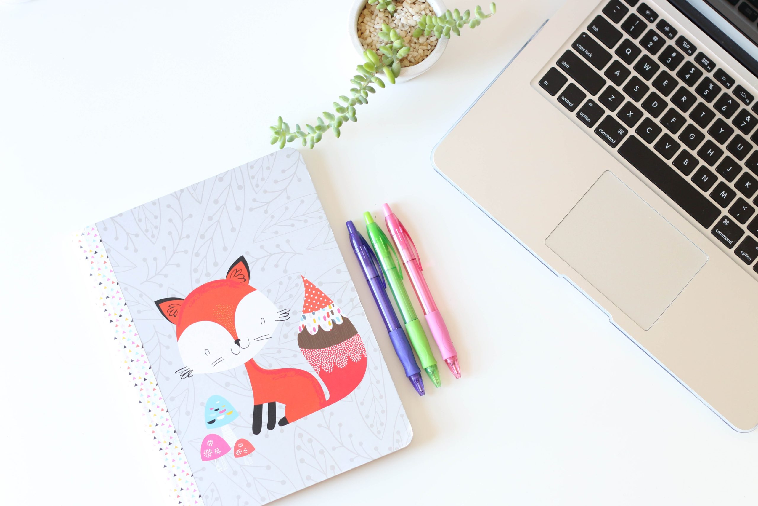 Musculoskeletal Physiotherapy